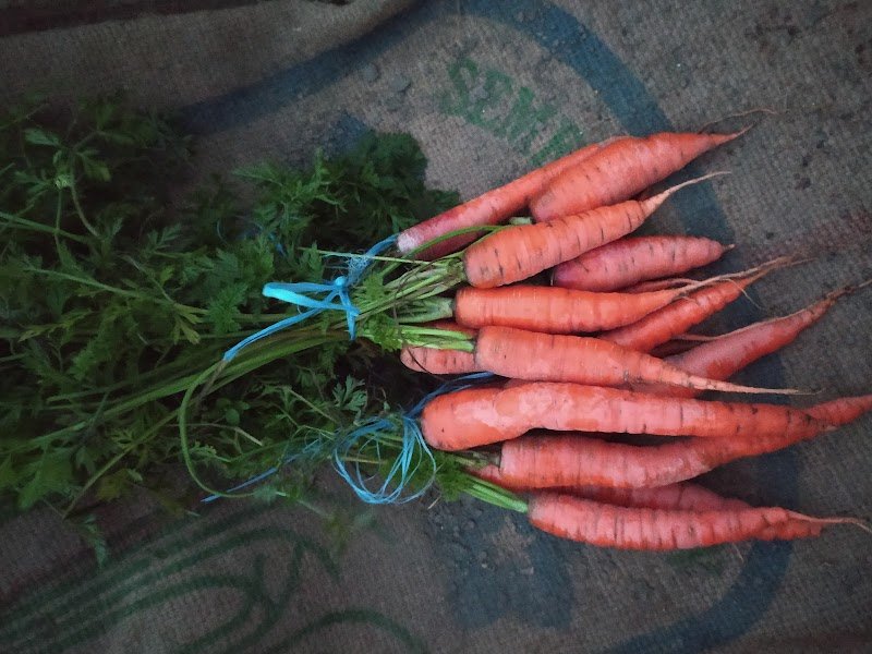 Vente à la ferme EARL du cheval de bois - photo 2