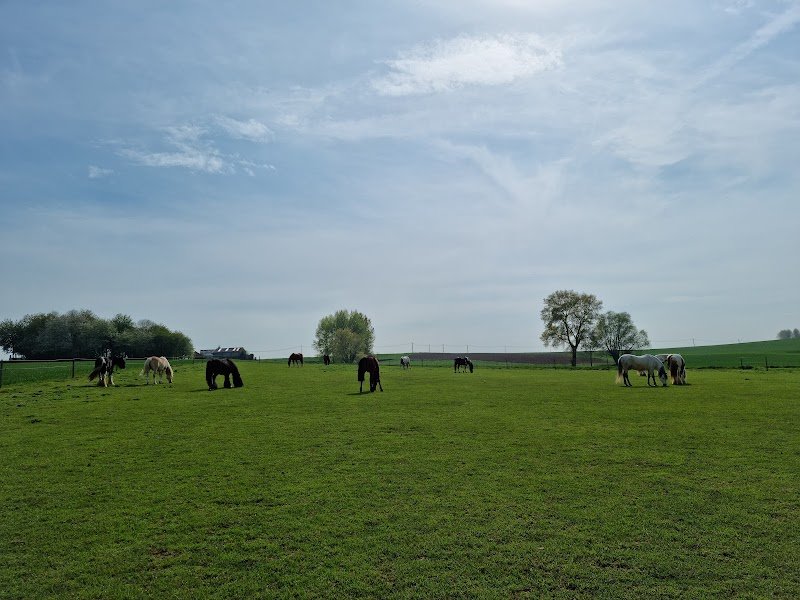 Ecurie de la Pédard