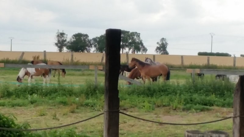 Poney-Club Le Pré Vert - photo 2