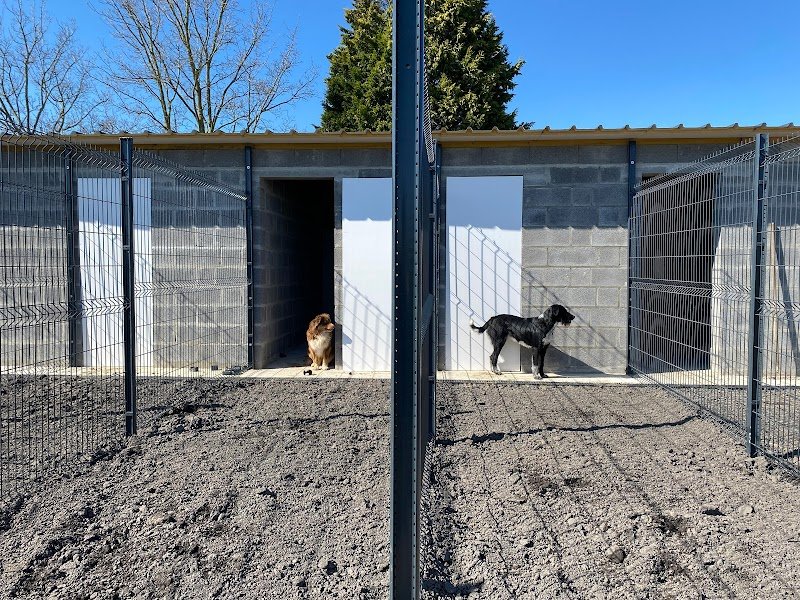 La pension de l’Oost Houck - photo 1