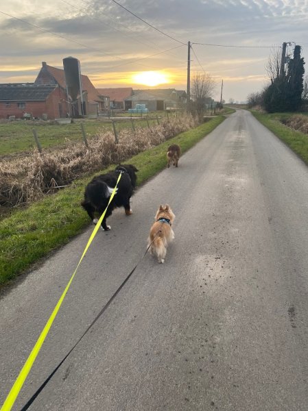 La pension de l’Oost Houck - photo 2