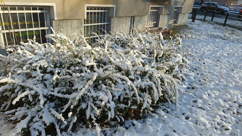 Ecurie de l'Oyat - photo 1