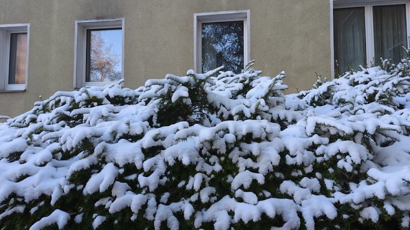 Ecurie de l'Oyat - photo 2