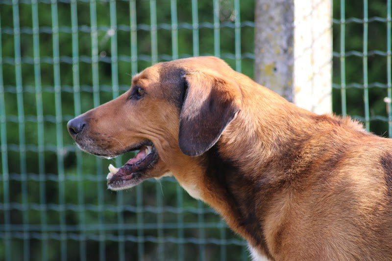 Pension de Bonavis - photo 2