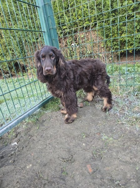 Pension de Bonavis - photo 3