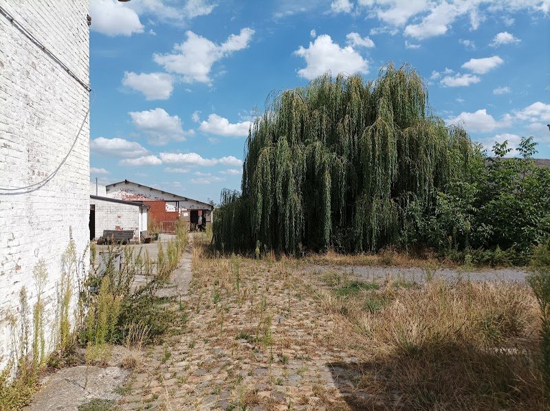 Les Ecuries de Bois Bourdon SPRL - photo 2