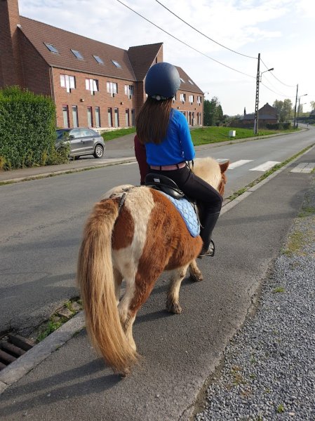 Les Ecuries de Bois Bourdon SPRL - photo 3