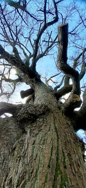 Haras du Millésime - photo 2