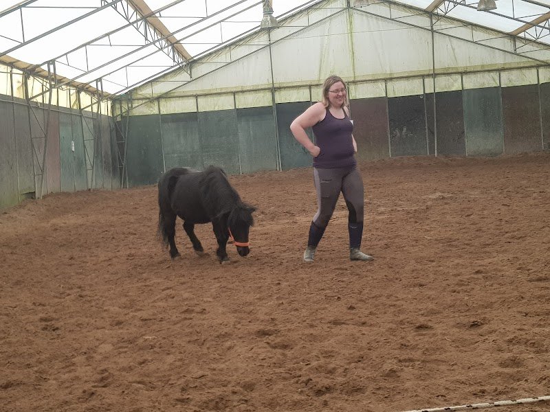 Haras du Millésime - photo 3