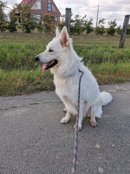 Pension chti'te papatte - photo 1