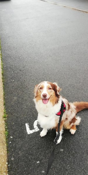 Pension chti'te papatte - photo 2