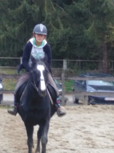 Les écuries Bucéphale - photo 3