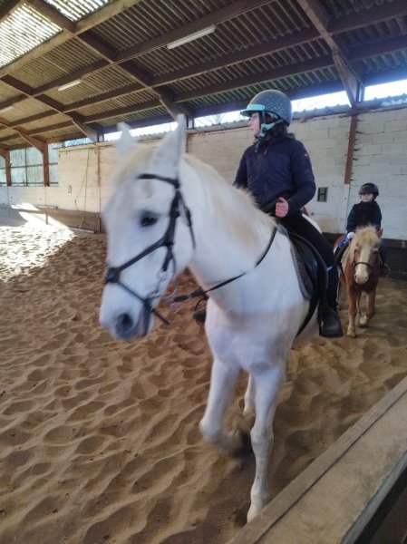 Equidour Stables ASBL - photo 2