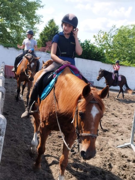 Equidour Stables ASBL - photo 3