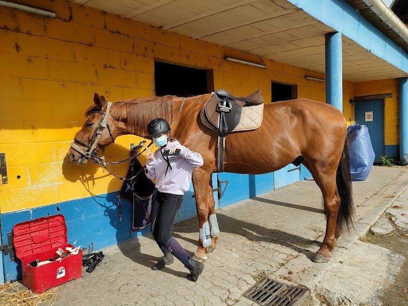 Poney club de Vertain - photo 1