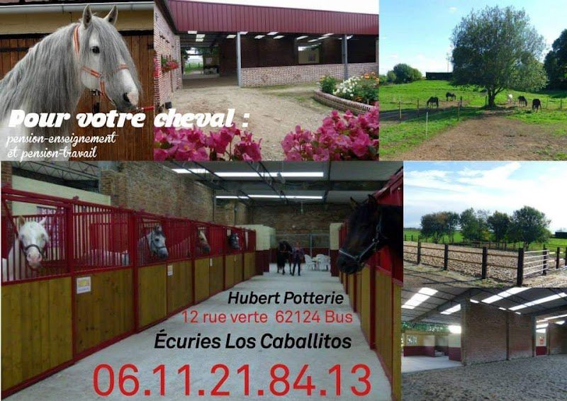 Ecuries los caballitos - photo 1