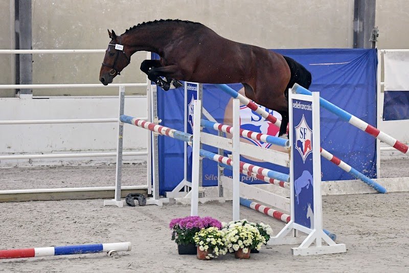 Haras Du Ventel - photo 1