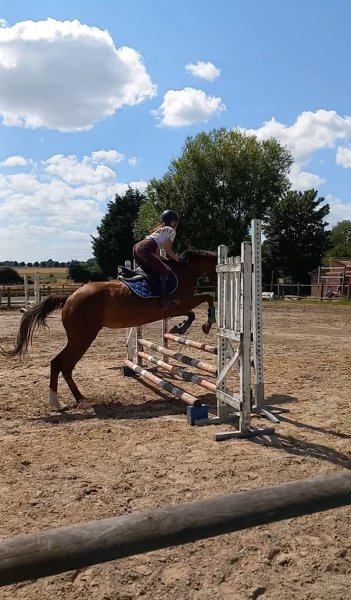 Ecuries de Saint Martin - photo 1