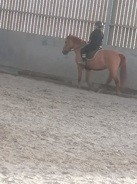 Ecuries de Saint Martin - photo 2