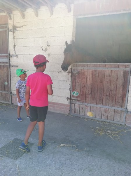 Ecuries de Saint Martin - photo 3