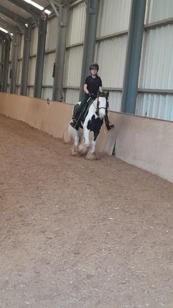 Centre Equestre Le Mont-Garni - photo 2