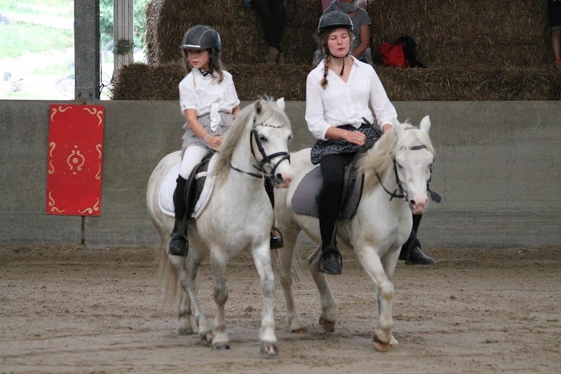 SV Écuries du Vert-Bois - photo 2