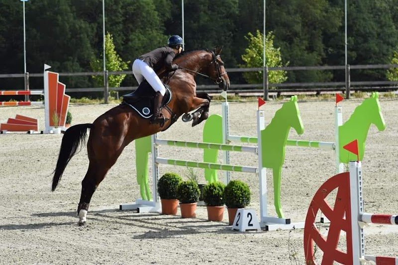 Écurie de Chièvres - photo 1