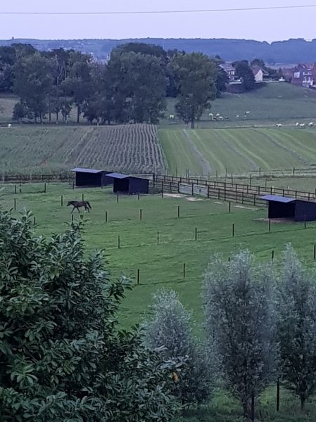 Ecurie privée L'Archonfosse SRL (Frédéric Decroly) - photo 3