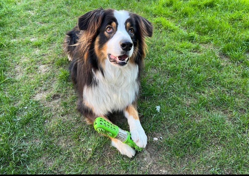 Pension des pres de labbaye