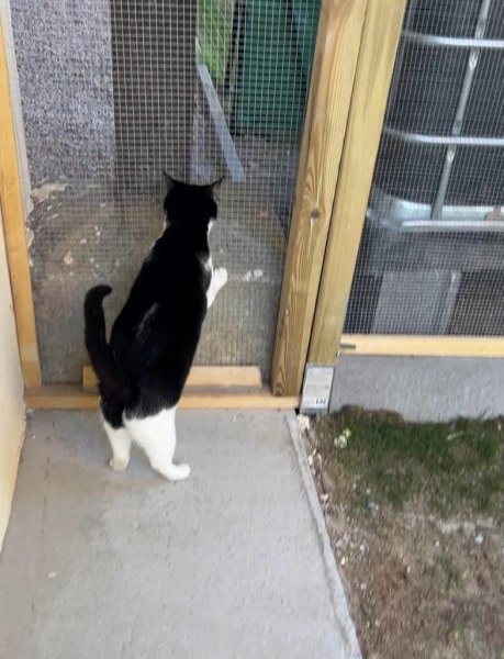 Pension des pres de labbaye - photo 2