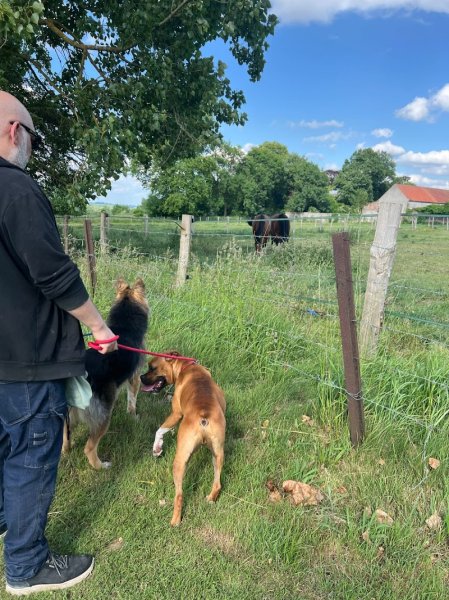 Pension des pres de labbaye - photo 3