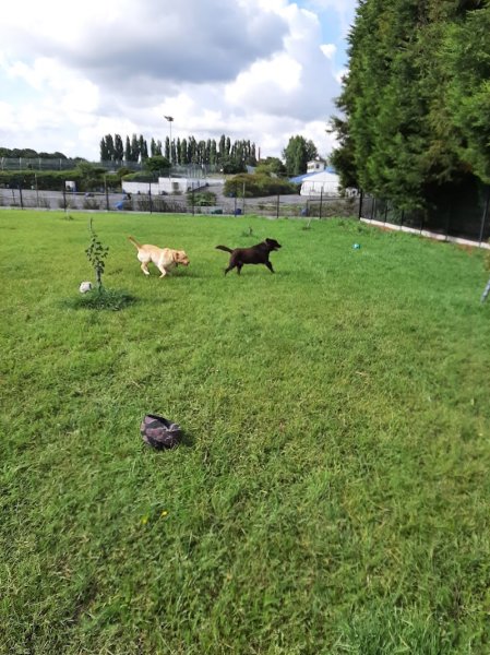 La Pension des Compagnons - photo 2