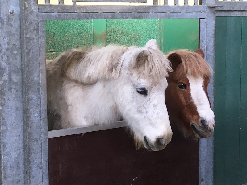 Ecuries des Champs (Les) - photo 2