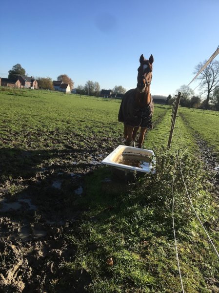 Ecuries des Champs (Les) - photo 3
