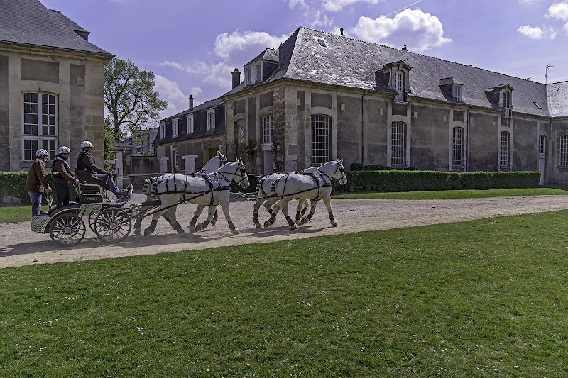 Grandes Ecuries Du Roi - photo 2