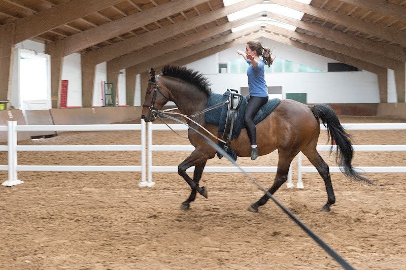 Pôle Equestre du Compiégnois - photo 1
