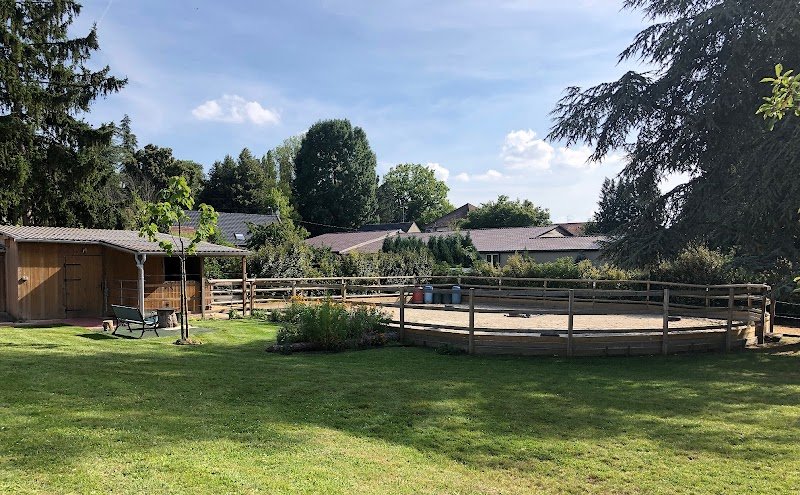 Ecurie Ginkgo - photo 2