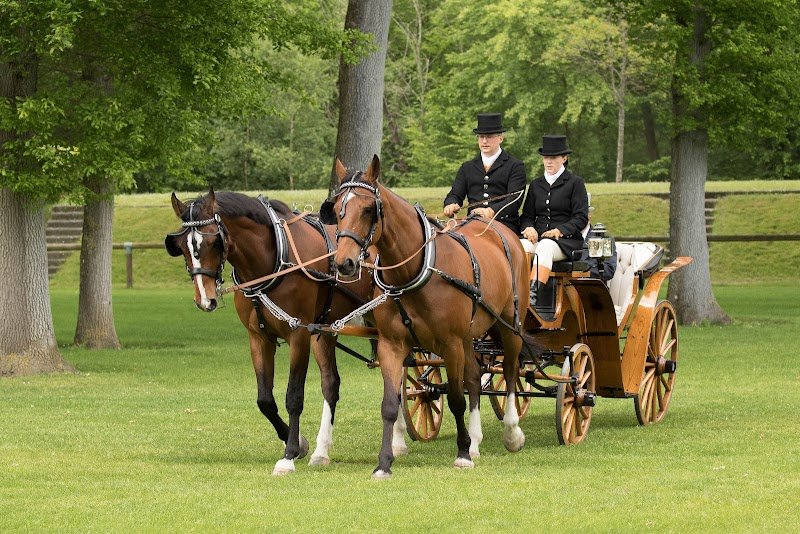 Stade Équestre du Grand Parc - photo 1