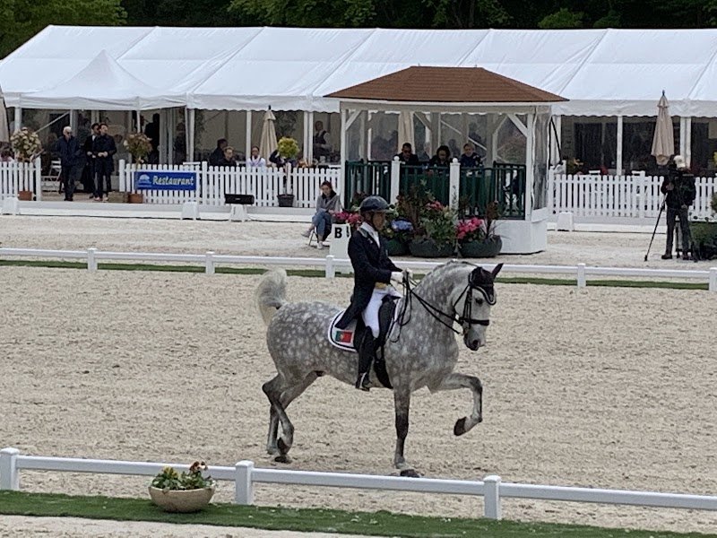 Stade Équestre du Grand Parc - photo 2