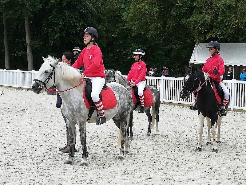 Stade Équestre du Grand Parc - photo 3