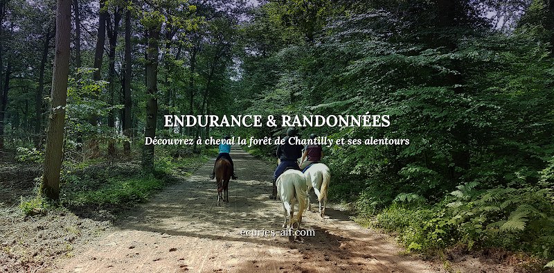Écuries ALF - Endurance et Randonnées
