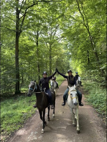 Écuries ALF - Endurance et Randonnées - photo 2