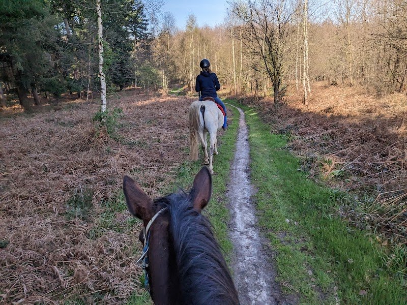 Écuries ALF - Endurance et Randonnées - photo 3