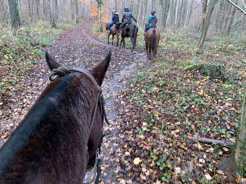 Balades À Cheval À Chantilly - photo 2