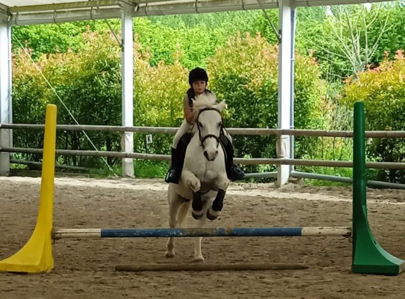 Les Ecuries Yankee - photo 2