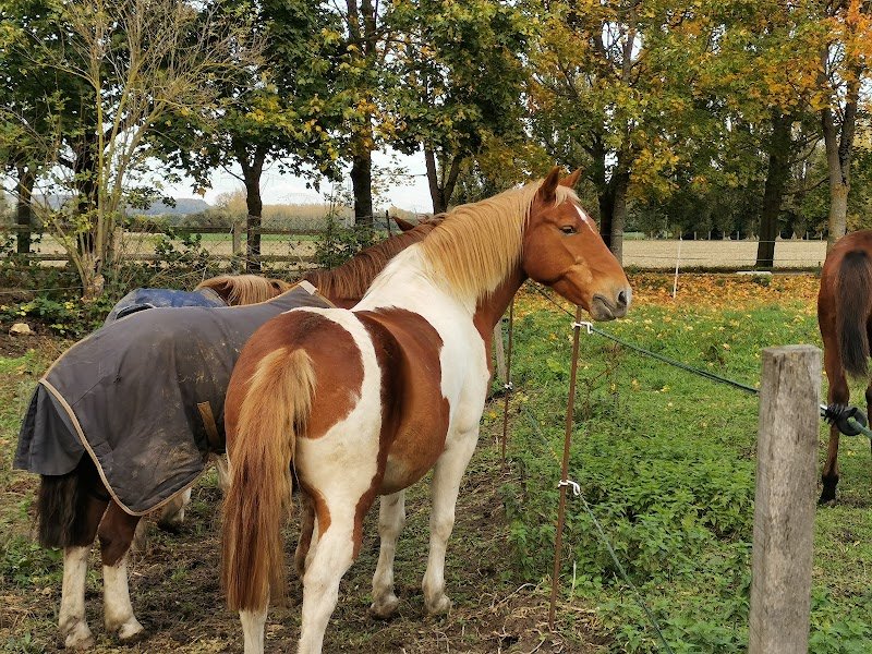 Les Ecuries Yankee - photo 3