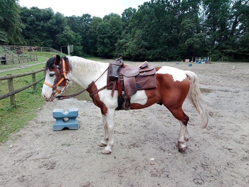 Ecuries de Java - photo 1