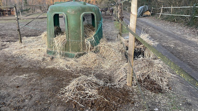 Écuries Lebard - photo 2