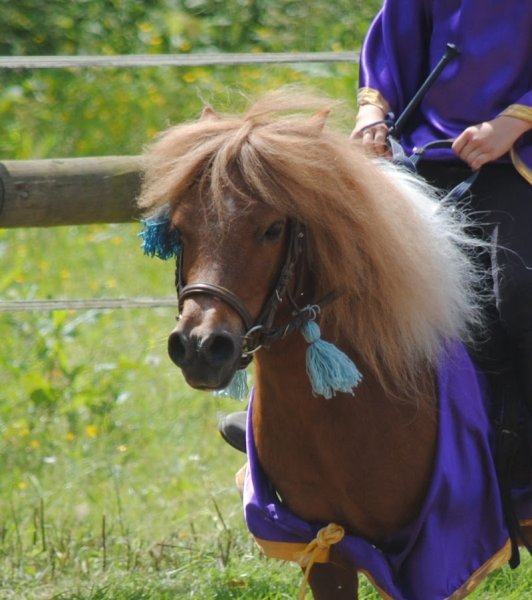 Les écuries de la poterie