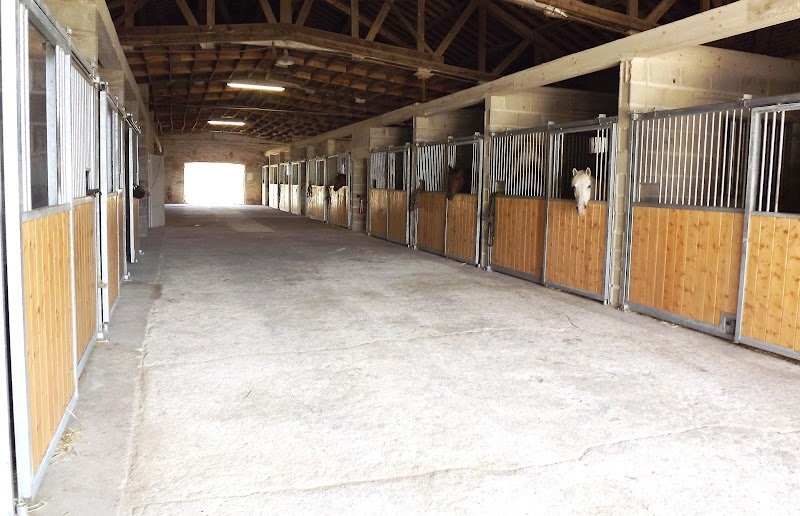 Ecurie de Matt - photo 2